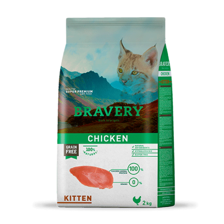 Bravery Kitten Pollo