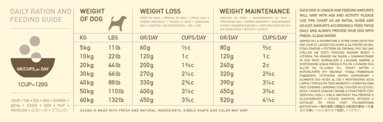 light_and_fit-guide-900