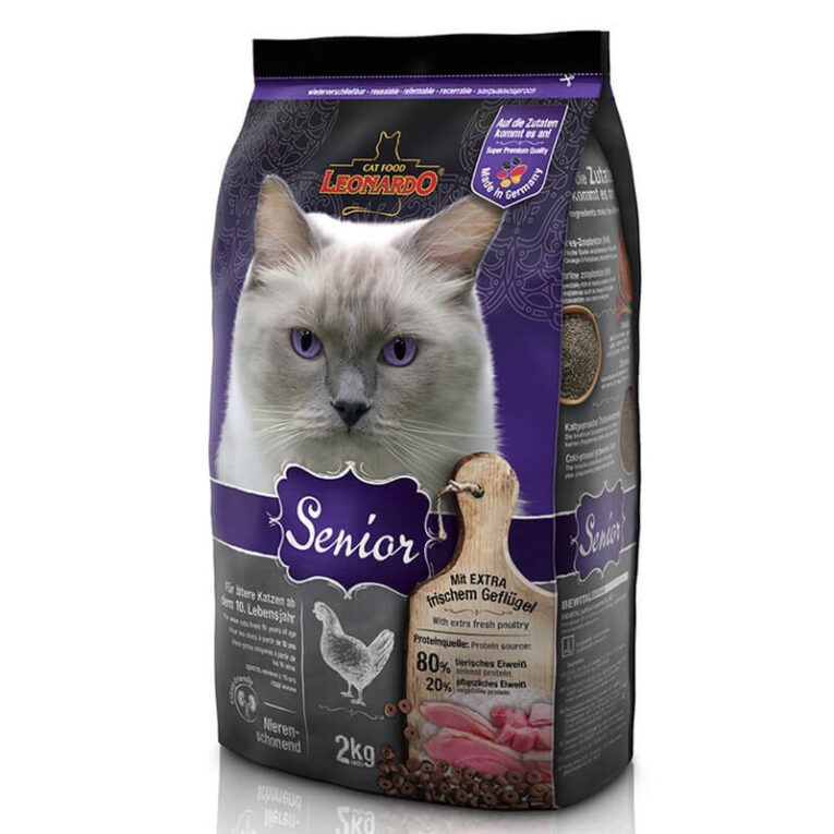 Leonardo Adult Senior