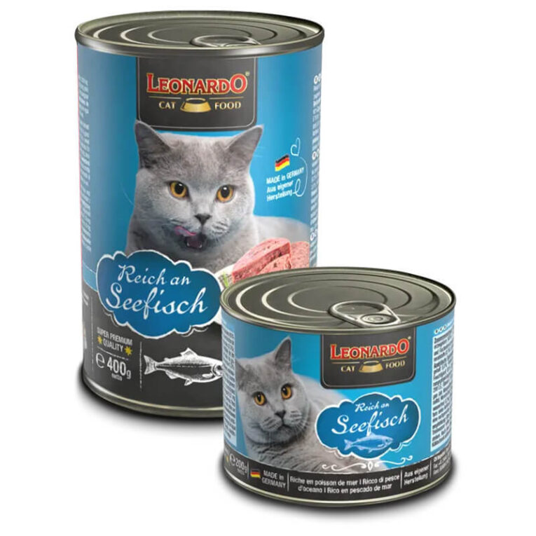 Leonardo Lata Pescado