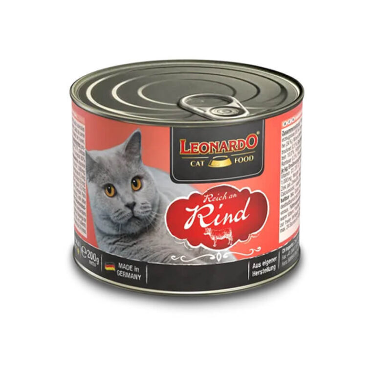 Leonardo Lata Ternera 1