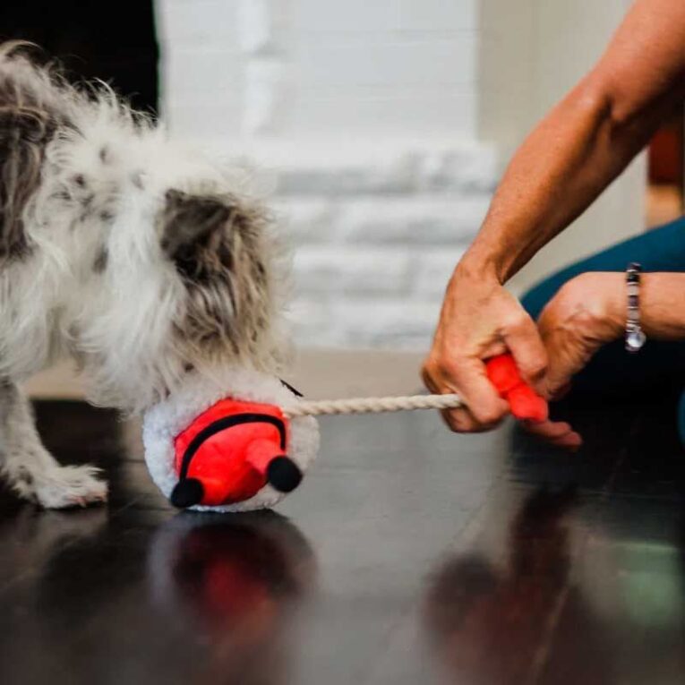 xr:d:DAEw8KsFs4Q:297,j:8829718028321817677,t:23120119