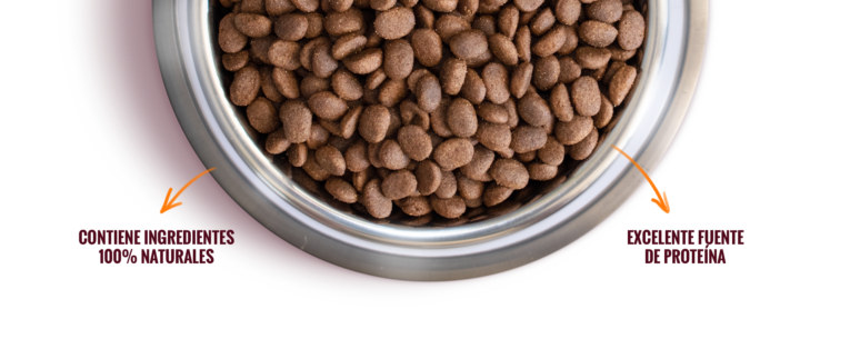 Nomade-2025_pellet_adulto_Desk_B