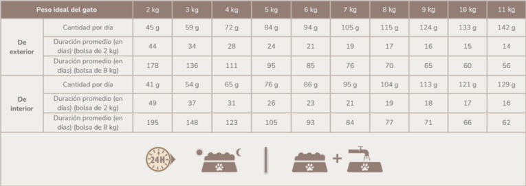 PL-ADULT-DUCK-TABLA-1200x425