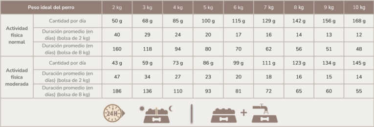 PL-ADULT-MINI-tabla-1200x410