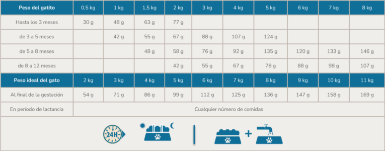 PL-KITTEN-tabla-1200x470
