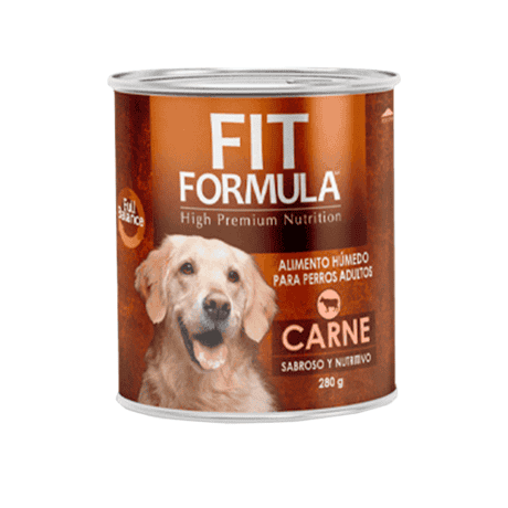 FIT LATA PERRO CARNE