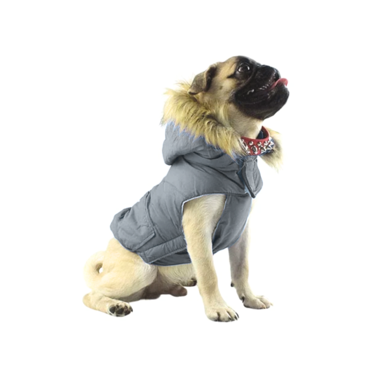 Diseño sin título (72)